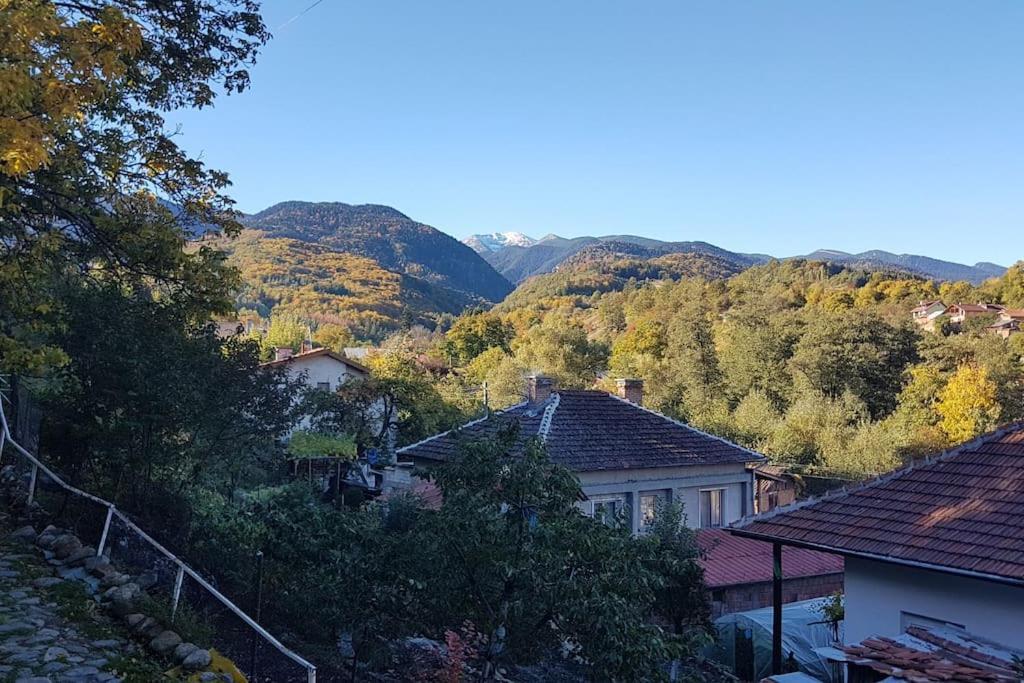 Duvaro Guesthouse Raduil Bagian luar foto
